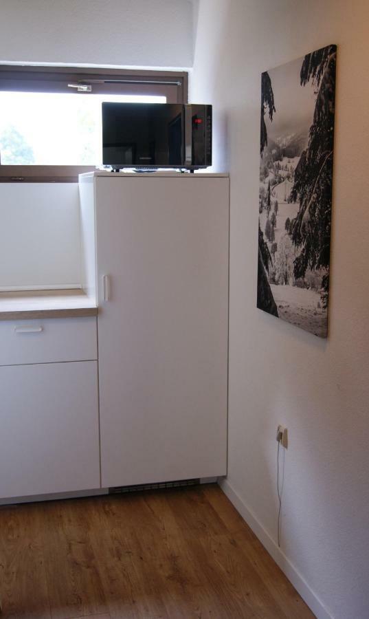Ferienwohnung Schwarzwaldlust Schluchsee Exterior photo